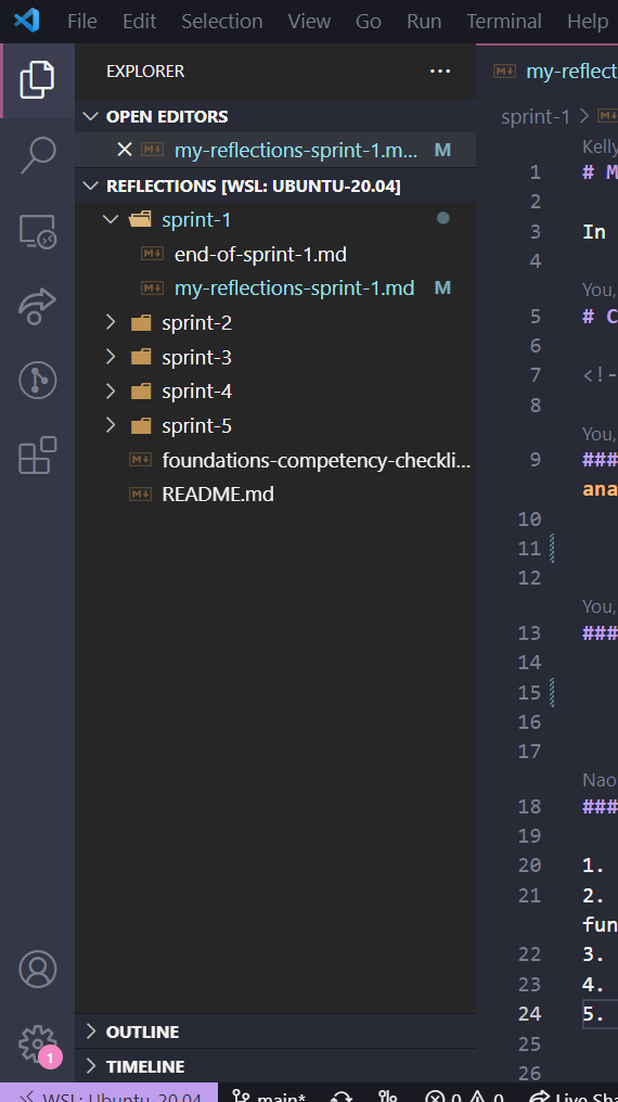 local repo in terminal