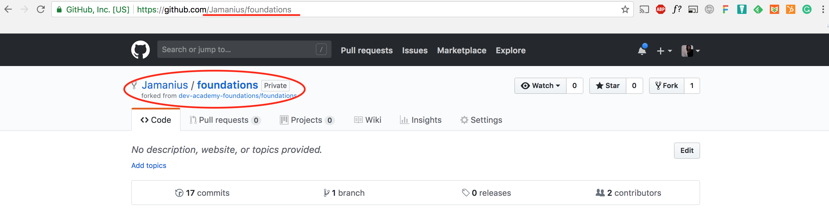 View Forked GitHub Repo