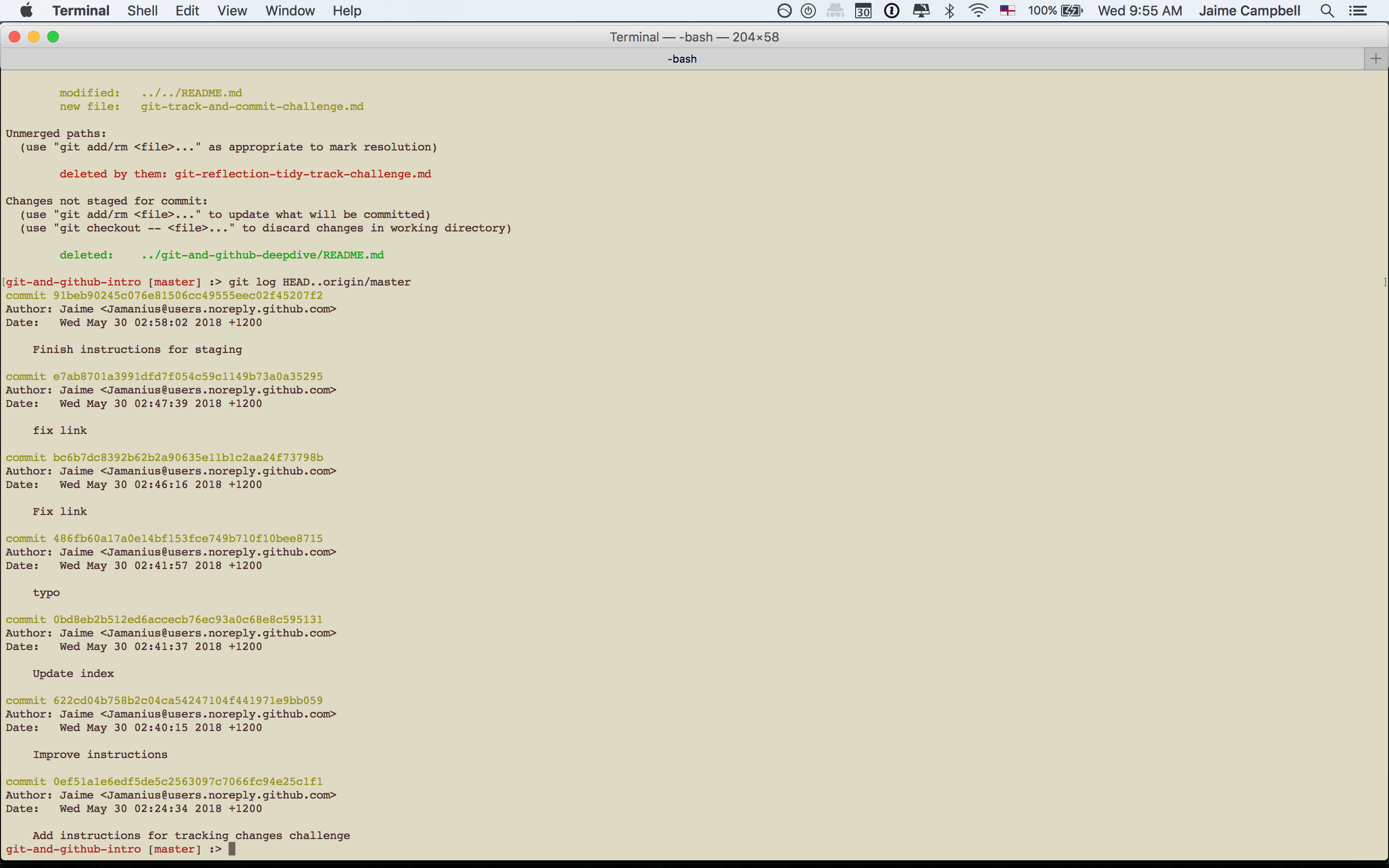 Git terminal message